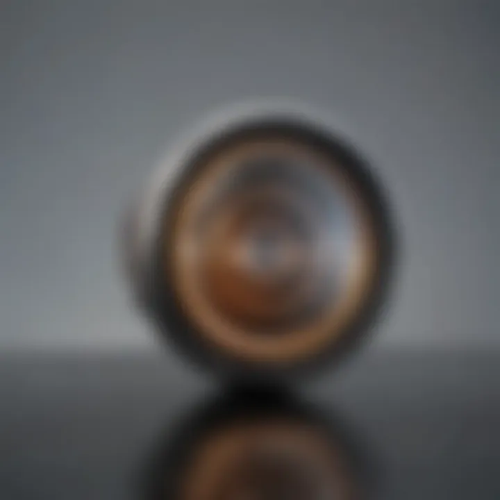 96 Well Transwell: An In-Depth Exploration Summary
