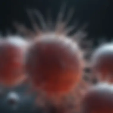 Magnificent An In-Depth Exploration of THP-1 Monocytes: Functions, Isolation, and Applications Magnificent An In-Depth Exploration of THP-1 Monocytes: Functions, Isolation, and Applications