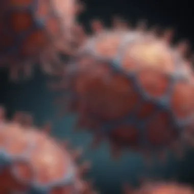 Magnificent Exploring the Role and Mechanisms of Cleaved Caspase 8 Antibody in Cellular Processes Magnificent Exploring the Role and Mechanisms of Cleaved Caspase 8 Antibody in Cellular Processes