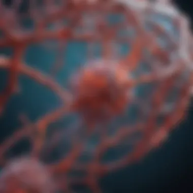 Magnificent Galectin-3: A Multifaceted Protein in Health and Disease