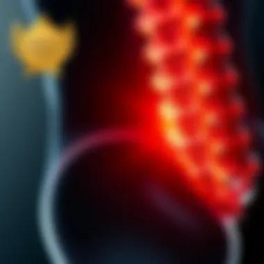Magnificent Understanding the Symptoms of L1 Disc Herniation Magnificent Understanding the Symptoms of L1 Disc Herniation