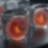 Advancements in 3D Cell Culture Technology: The Thunder Imager Perspective Introduction