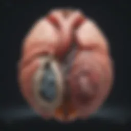 Advanced cardiac MRI software interface showcasing detailed imaging