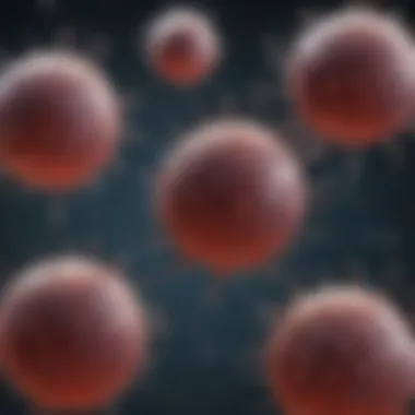 An In-Depth Exploration of THP-1 Monocytes: Functions, Isolation, and Applications Introduction An In-Depth Exploration of THP-1 Monocytes: Functions, Isolation, and Applications Introduction