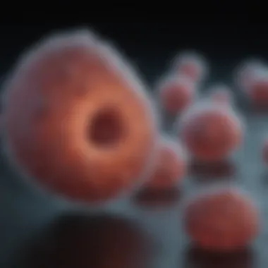 Notable An In-Depth Exploration of THP-1 Monocytes: Functions, Isolation, and Applications
