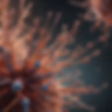 Visual representation of antibody design principles