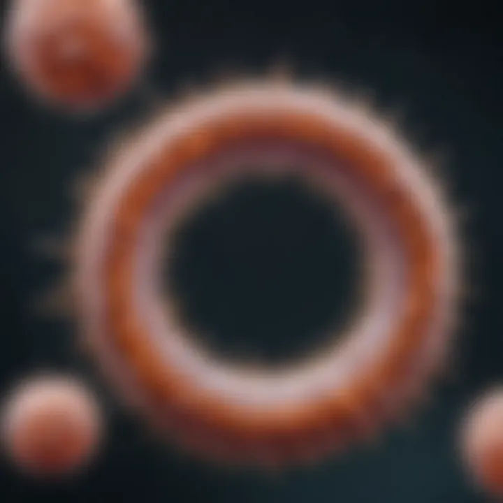 Visual representation of liposome characterization techniques used in research