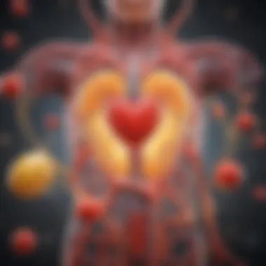 Illustration showing the biological mechanisms linking vitamin D to cardiovascular health.