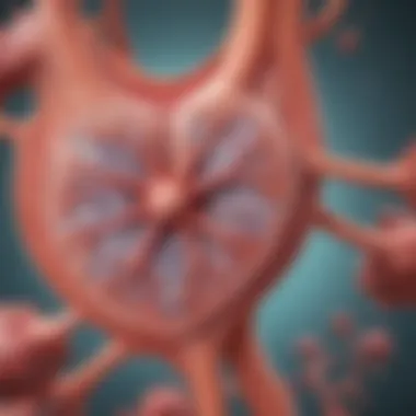 Biological Mechanisms of Uric Acid Influence on Kidneys Illustration of the biological mechanisms linking uric acid and kidney health