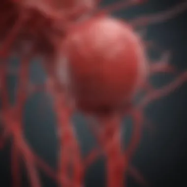 Connection Between Blood Clots and Cancer Diagram illustrating the connection between blood clots and cancer