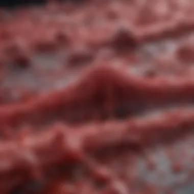 Microscopic Formation of Blood Clots Microscopic view of a blood clot formation