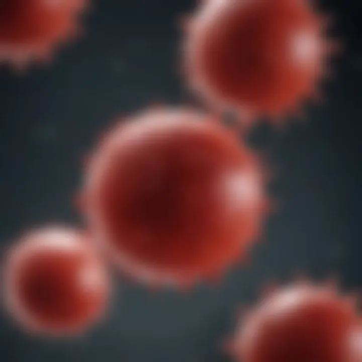 Diagram highlighting conditions affecting RBC formation