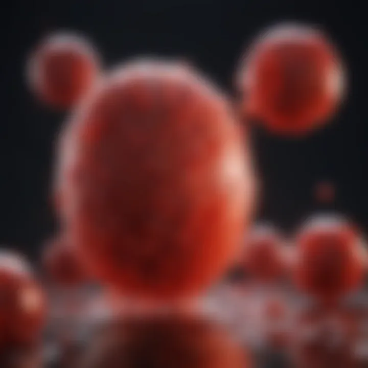 Visual representation of essential nutrients for RBC production
