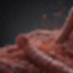 Detailed chart illustrating colon cancer survival rates