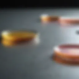 Colorimetric reaction of Chromagar plates