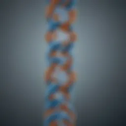 Illustration depicting the Philadelphia chromosome's structure
