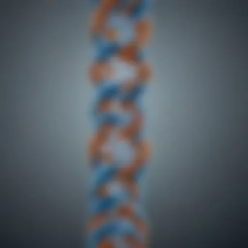 Illustration depicting the Philadelphia chromosome's structure