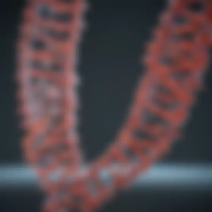 Infographic on applications of restriction enzymes in biotechnology