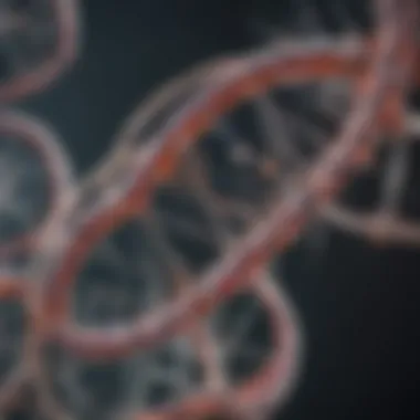 Mechanism of Action of Restriction Enzymes Diagram showing the mechanism of action of restriction enzymes