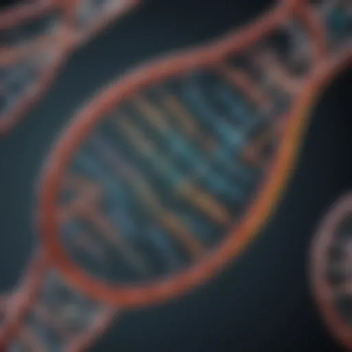 Illustration of restriction enzyme structure