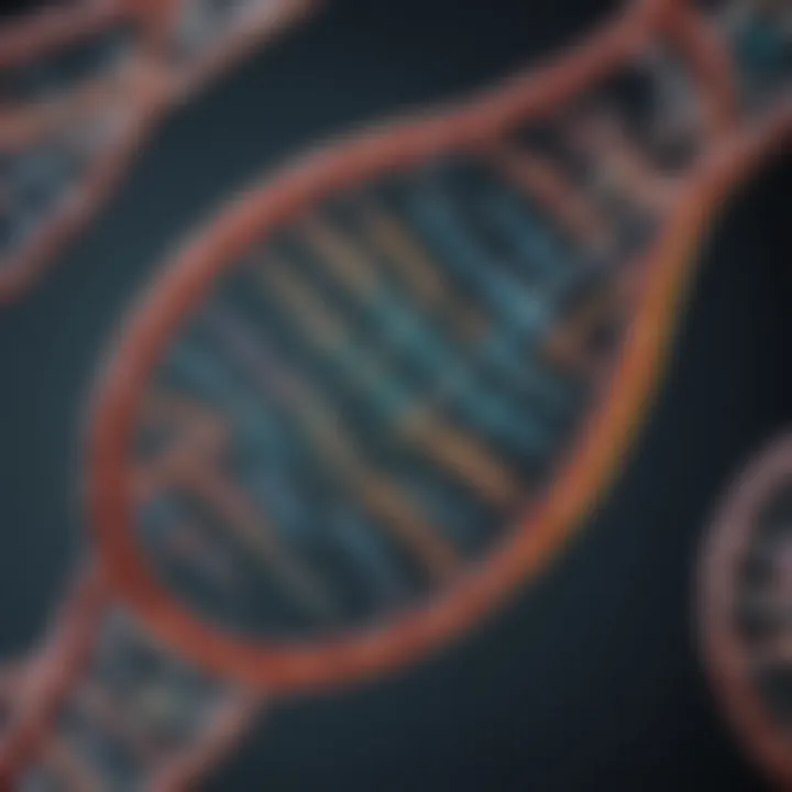Illustration of restriction enzyme structure