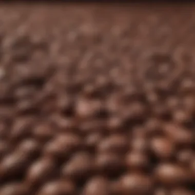 The Natural State of Cocoa Beans Cocoa beans in their natural state