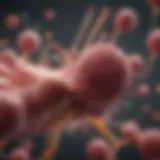 Illustration depicting immune response complications after bone marrow transplantation