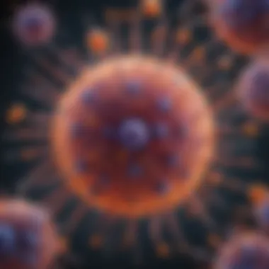 Schematic representation of thioredoxin function in cellular processes