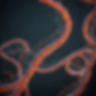 Advancements in RNA Probe Technologies Graph showing advancements in RNA probe technologies