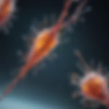 RNA Probes in Diagnostics Visualization of RNA probe applications in diagnostics