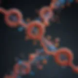 Schematic representation of RNA probe interaction with target mRNA