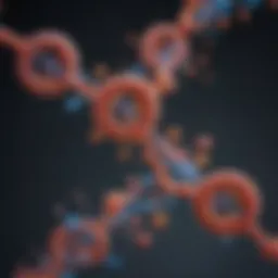 Schematic representation of RNA probe interaction with target mRNA