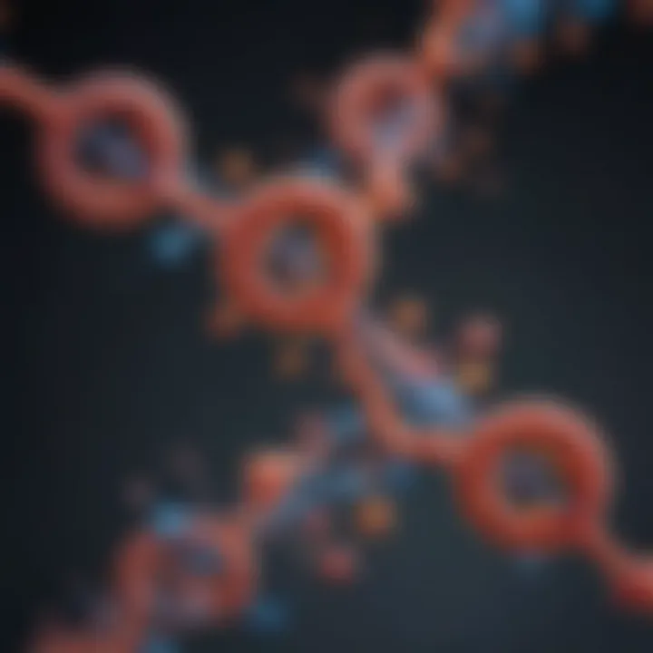 Schematic representation of RNA probe interaction with target mRNA