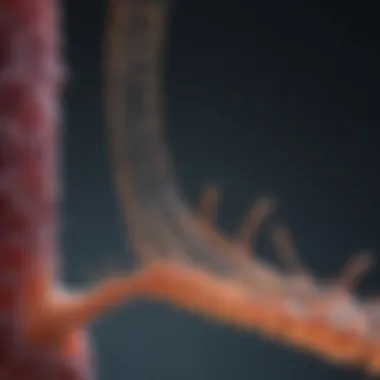 Key Features of siRNA Structure Illustration depicting the siRNA structure highlighting key features