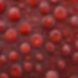 A microscopic view of blood platelets illustrating their deficiency in congenital thrombocytopenia.
