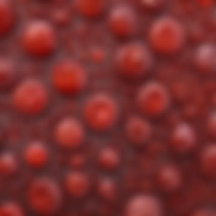 A microscopic view of blood platelets illustrating their deficiency in congenital thrombocytopenia.