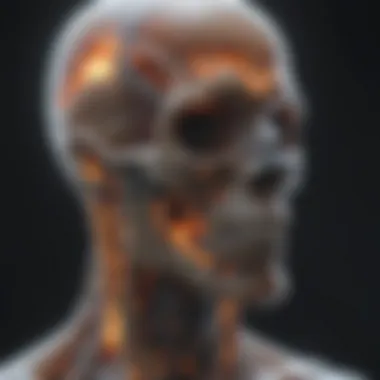 Transforming X-Ray Images to Digital High Resolution High-resolution X-Ray digital output