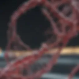 CRISPR technology overview highlighting its role in gene editing