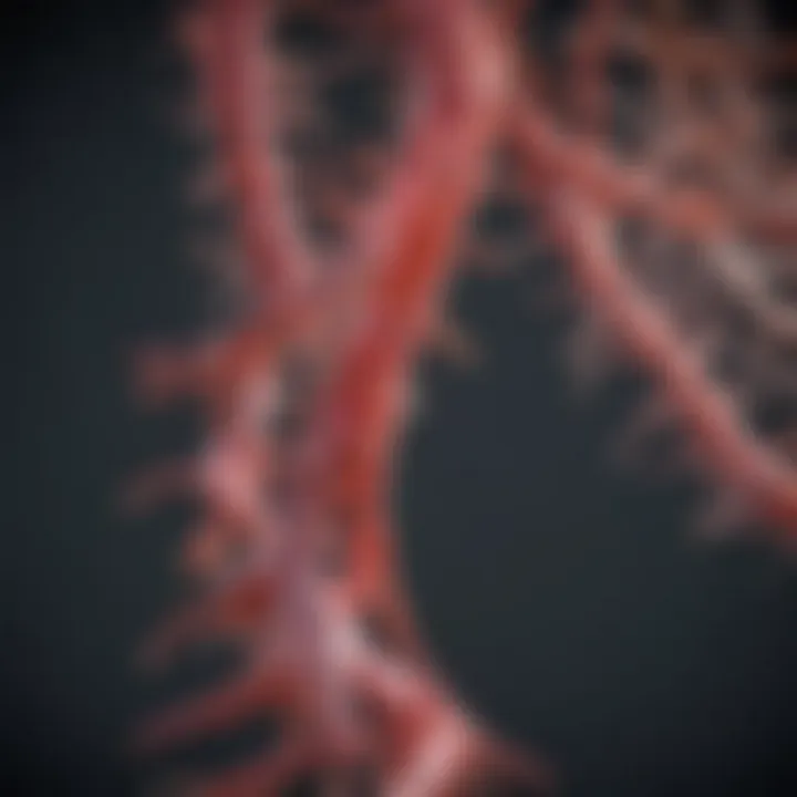 Genetic basis of spinal muscular atrophy illustrated through molecular pathways