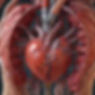 Diagram of CRP's role in inflammation and heart disease