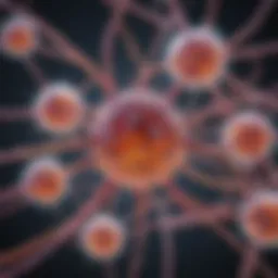 Visual representation of Cytomegalovirus transmission pathways.