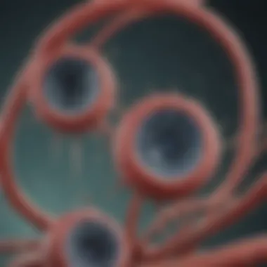 Importance of accurate diagnosis in H. pylori management