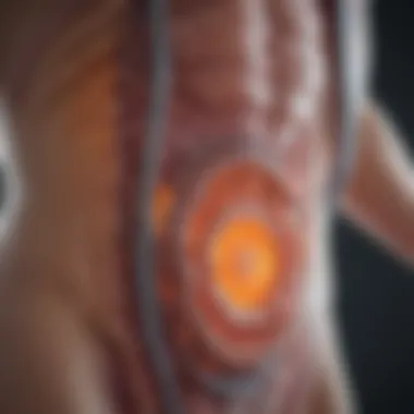 Visual representation of diagnostic imaging methods used in colon cancer Diagnostic imaging techniques for colon cancer