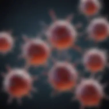 Types of FAK Antibodies Diverse types of FAK antibodies