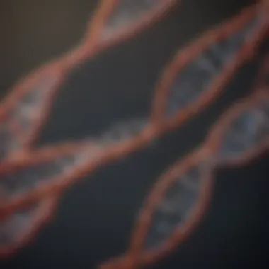 Transcription Mechanism Overview Diagram illustrating the transcription of DNA to mRNA