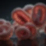 E. coli Nissle 1917: An In-Depth Exploration Introduction