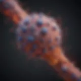Illustration depicting the HPV transmission pathways