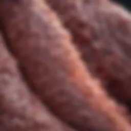Close-up of lung tissue highlighting early cancerous changes
