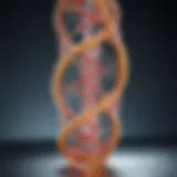 Illustration of nucleic acid structure