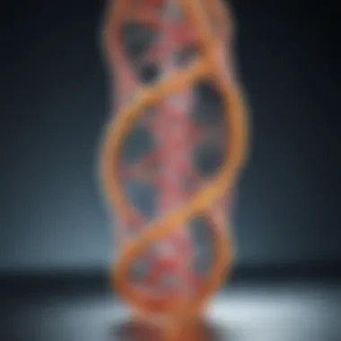 Illustration of nucleic acid structure